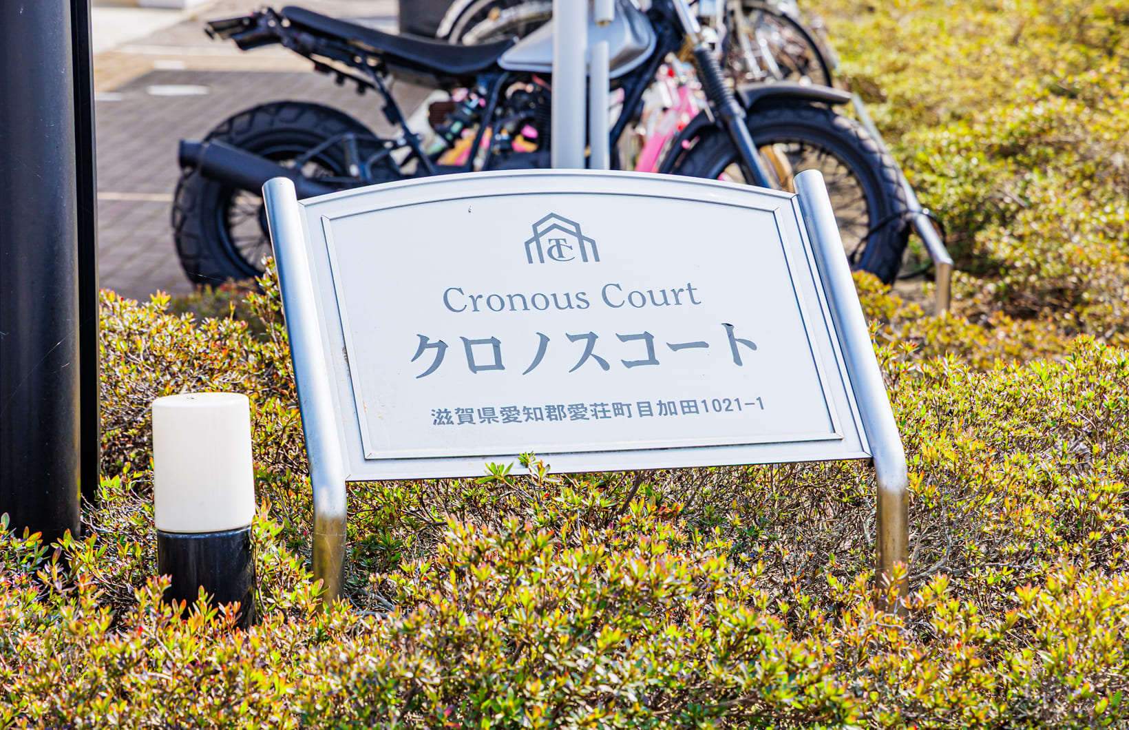 クロノスコートの写真