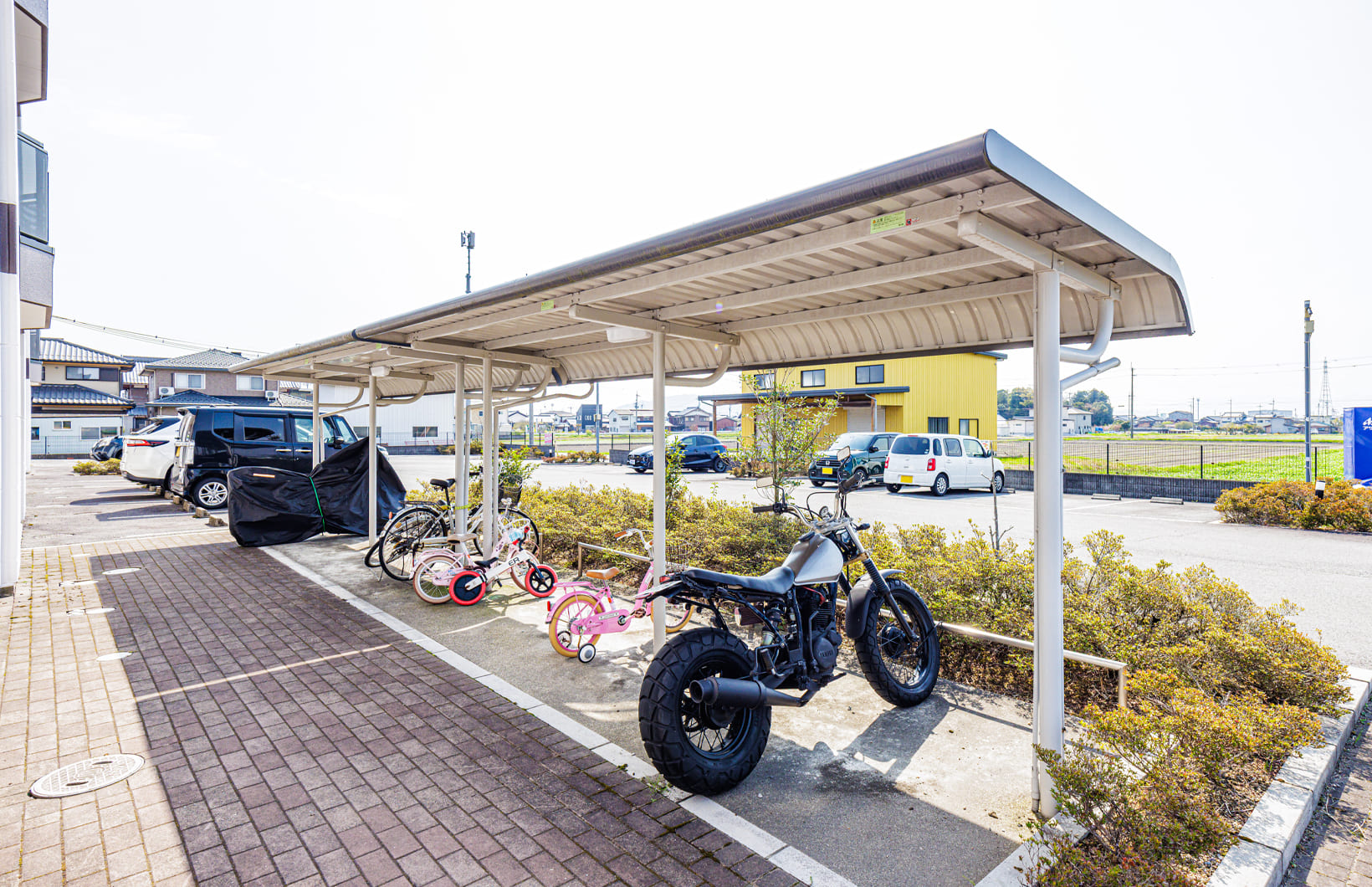 クロノスコートの写真